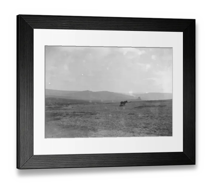 Framed Print : Dartmoor with ponies, Devon 1926 Framed Print : Dartmoor with ponies, Devon 1926
