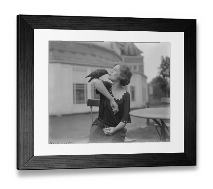 Framed Print : Jacks Lady Friend. A tame jackdaw at The Karsino, Taggs Island in the River