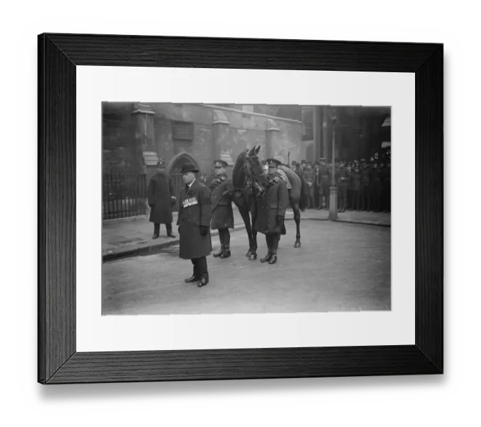 Framed Print : Funeral of Earl Haig. The charger of the late Field Marshal. The civilian figure is Mr Secrett Framed Print : Funeral of Earl Haig. The charger of the late Field Marshal. The civilian figure is Mr Secrett