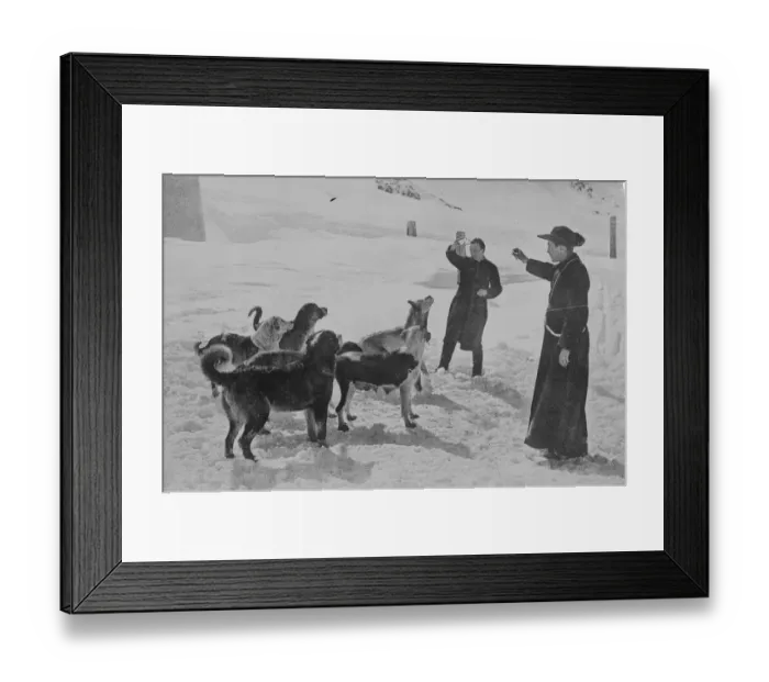 Framed Print : St Bernard Monks snowed up. The monks of St Bernard are isolated in their Hospice Framed Print : St Bernard Monks snowed up. The monks of St Bernard are isolated in their Hospice