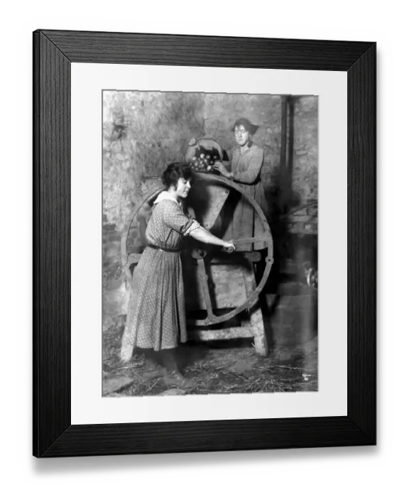 Framed Print : Cider making in Devenshire. 6 November 1919 Framed Print : Cider making in Devenshire. 6 November 1919
