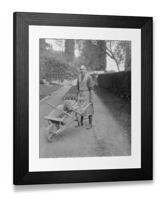 Framed Print : Russian Refugee Officer as Gardener at the Riviera Villa of Mrs Arthur Wilson ( of Trangy Croft Framed Print : Russian Refugee Officer as Gardener at the Riviera Villa of Mrs Arthur Wilson ( of Trangy Croft