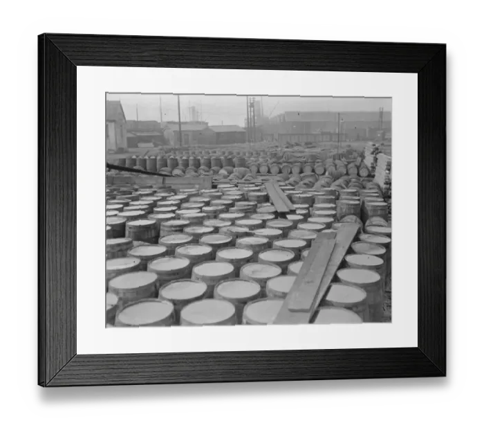 Framed Print : 5, 000 Barrels of Syrup held up at Surrey Docks It is alleged that 5, 000 barrels Framed Print : 5, 000 Barrels of Syrup held up at Surrey Docks It is alleged that 5, 000 barrels