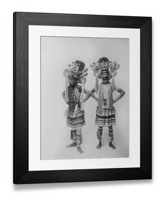 Framed Print : The visit of the Prince of Wales to Ceylon. Some of the wonders of the Island Framed Print : The visit of the Prince of Wales to Ceylon. Some of the wonders of the Island