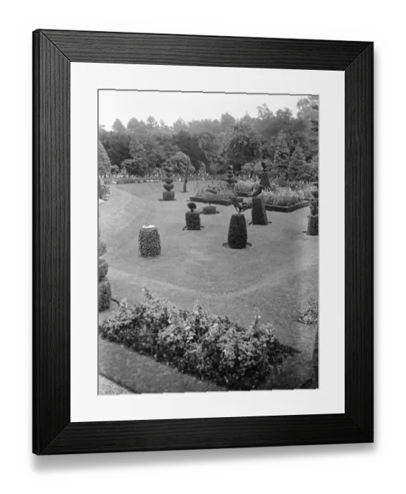 Framed Print : The King and Queen to go to Sandringham, Norfolk. The picturesque topiary work Framed Print : The King and Queen to go to Sandringham, Norfolk. The picturesque topiary work