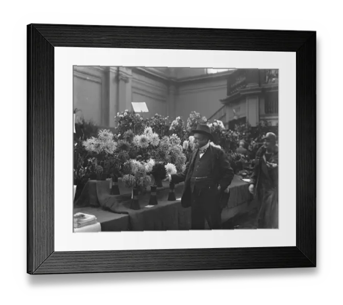 Framed Print : A peer in the Realm of Flowers. Lord Lambourne admiring the wonderful show of dahlias Framed Print : A peer in the Realm of Flowers. Lord Lambourne admiring the wonderful show of dahlias