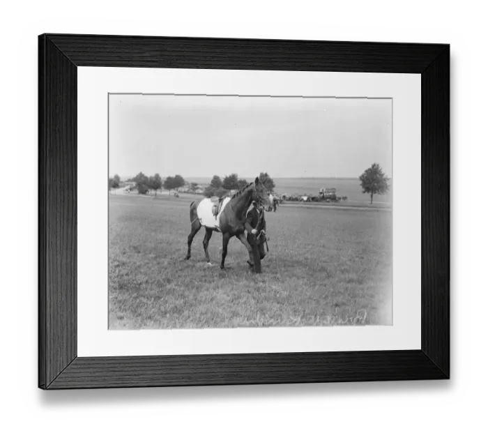 Framed Print : Bright Knight May 1924