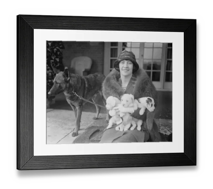 Framed Print : Lady Terrington a Candidate for South Bucks. Lady Terrington, Liberal candidate for South Bucks Framed Print : Lady Terrington a Candidate for South Bucks. Lady Terrington, Liberal candidate for South Bucks