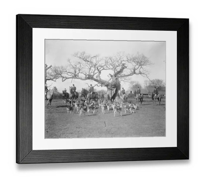 Framed Print : Grafton hunt meet at Cowpers Oak, Olney. 16 February 1926 Framed Print : Grafton hunt meet at Cowpers Oak, Olney. 16 February 1926
