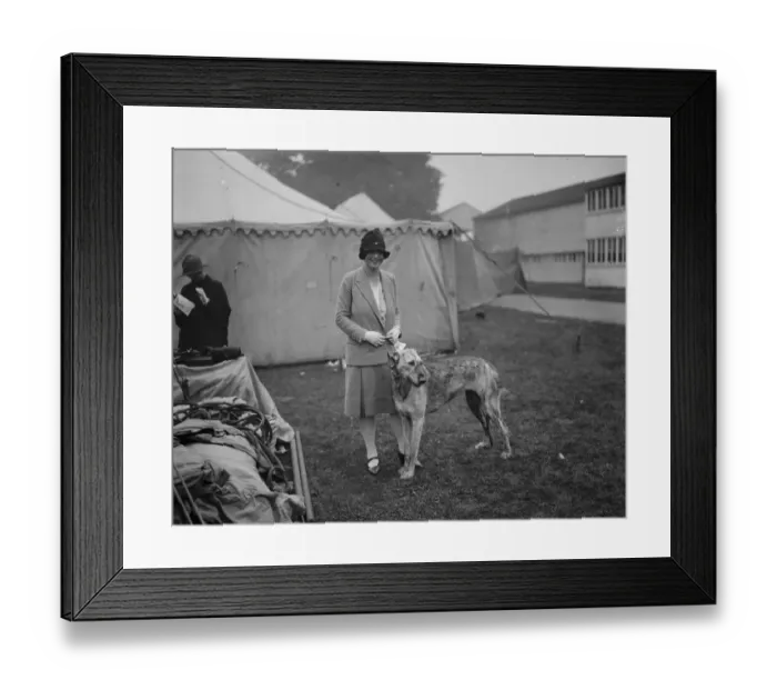 Framed Print : Richmond dog show. Lady Margaret Hamilton with the Irish wolfhound owned by her mother Framed Print : Richmond dog show. Lady Margaret Hamilton with the Irish wolfhound owned by her mother