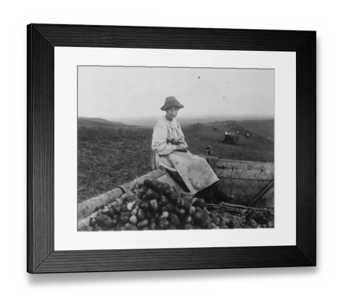 Framed Print : Kings sister works in potato fields. Princess Eudoxia of Bulgaria, photographed