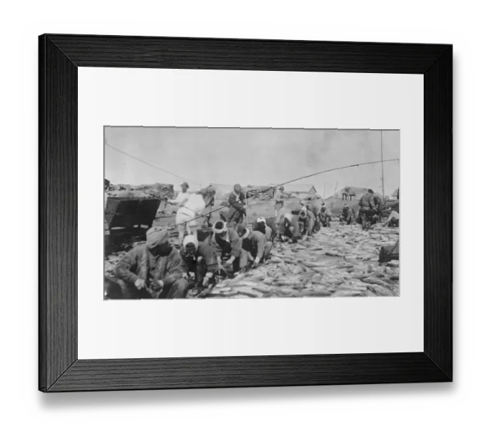 Framed Print : Salmon fisheries West Coast of Kamchatka, Russia 1920 Framed Print : Salmon fisheries West Coast of Kamchatka, Russia 1920