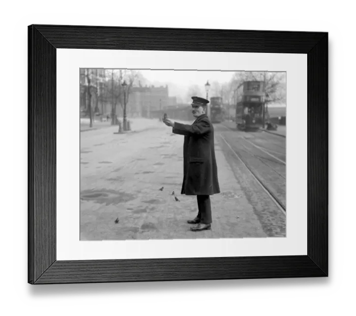 Framed Print : Sparrows friend, Embankment. 8 April 1920 Framed Print : Sparrows friend, Embankment. 8 April 1920