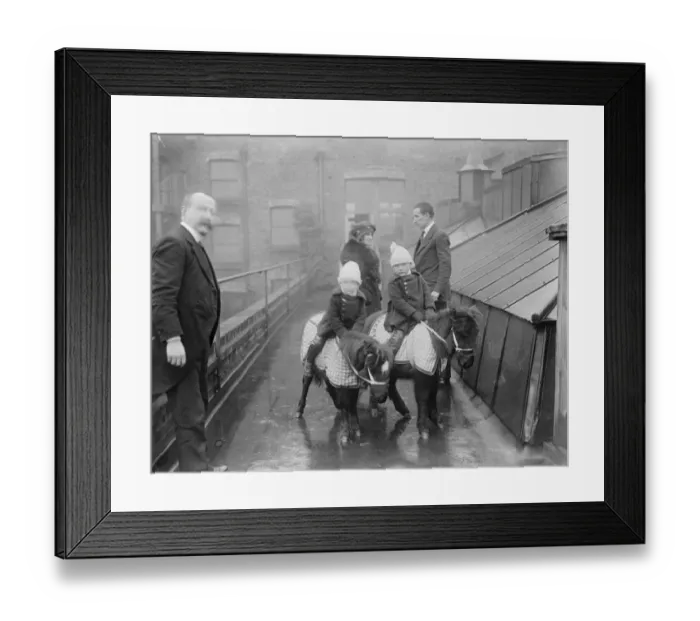 Framed Print : Live toys at Derry and Toms Shetland Ponies at ?15 24 November 1919