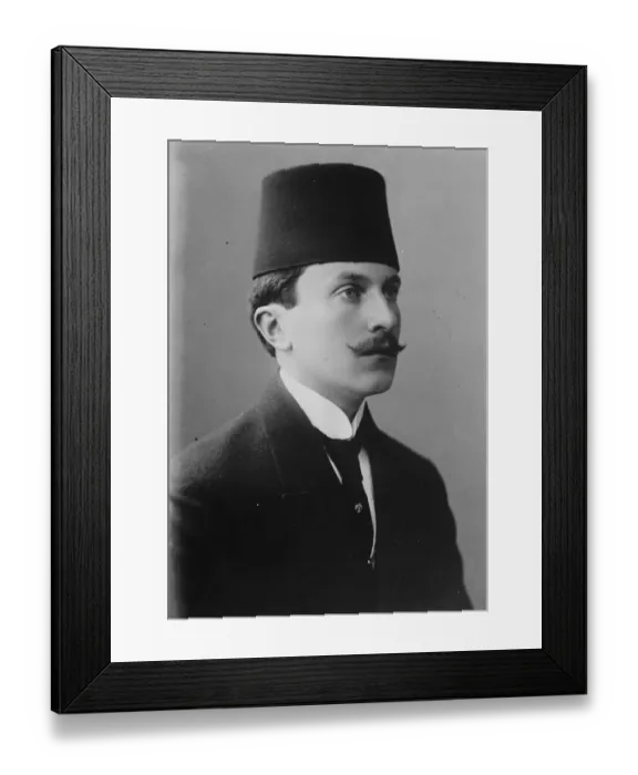 Framed Print : David Hami Bey, who has just opened a shop for the sale of singing canaries in Budapest Framed Print : David Hami Bey, who has just opened a shop for the sale of singing canaries in Budapest