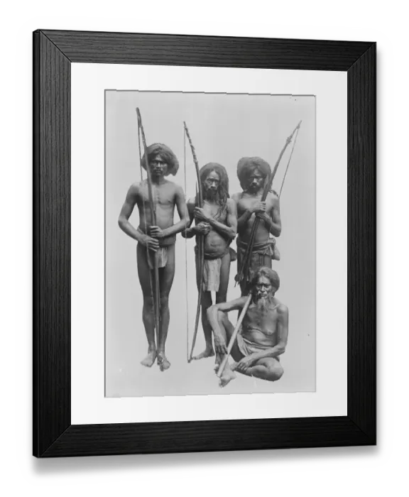 Framed Print : Visit to of the Prince of Wales to Ceylon, Sri Lanka Some of the wonders of the Island Framed Print : Visit to of the Prince of Wales to Ceylon, Sri Lanka Some of the wonders of the Island