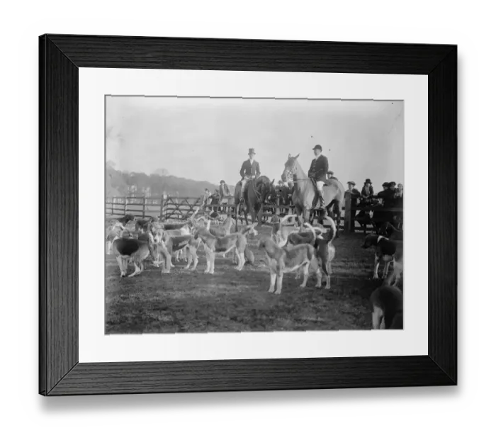 Framed Print : Duke of York at Belvoir hunt meet at Croxton Park. The Duke of York at the meet Framed Print : Duke of York at Belvoir hunt meet at Croxton Park. The Duke of York at the meet