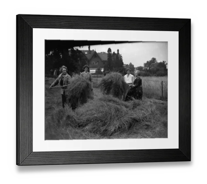 Framed Print : At the Mary Macarthur Holiday Home for Working Women in Ongar in Essex, haymaking gets under way Framed Print : At the Mary Macarthur Holiday Home for Working Women in Ongar in Essex, haymaking gets under way