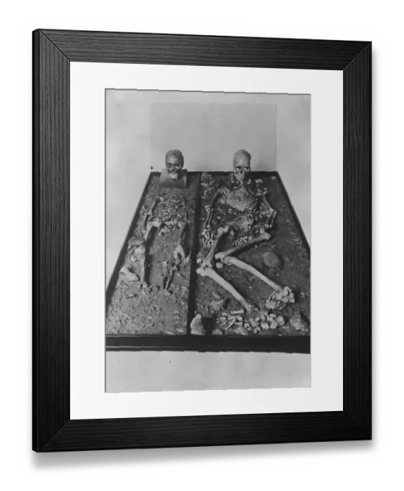 Framed Print : Skeletons exhibited in a Berlin museum, estimated by scientists to be at least 25000 years old Framed Print : Skeletons exhibited in a Berlin museum, estimated by scientists to be at least 25000 years old