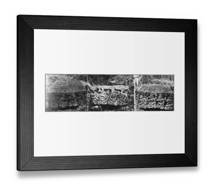 Framed Print : Yucatan exploration. 1926