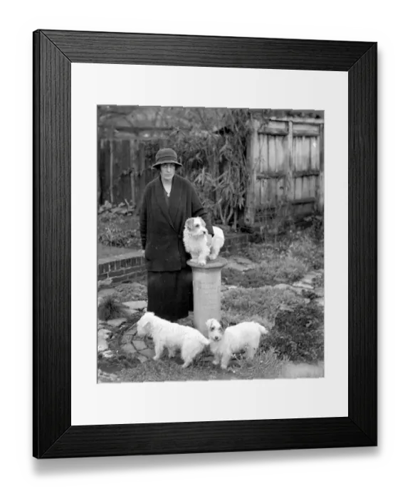 Framed Print : Hon Mrs Ronald Fellowes at her Sealyham Kennels Barn Cottage at Merstham. 24 September Framed Print : Hon Mrs Ronald Fellowes at her Sealyham Kennels Barn Cottage at Merstham. 24 September