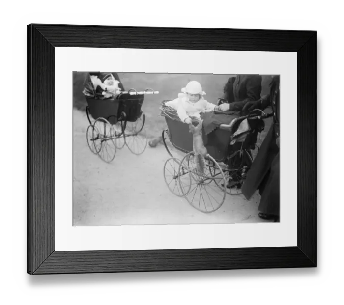 Framed Print : Feeding the squirrels Framed Print : Feeding the squirrels