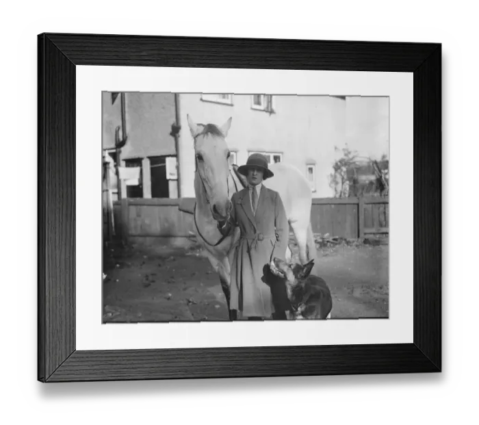 Framed Print : Mrs G Duller trains thoroughbred horses and Alsatian Wolfhounds at her residence at Epsom Framed Print : Mrs G Duller trains thoroughbred horses and Alsatian Wolfhounds at her residence at Epsom