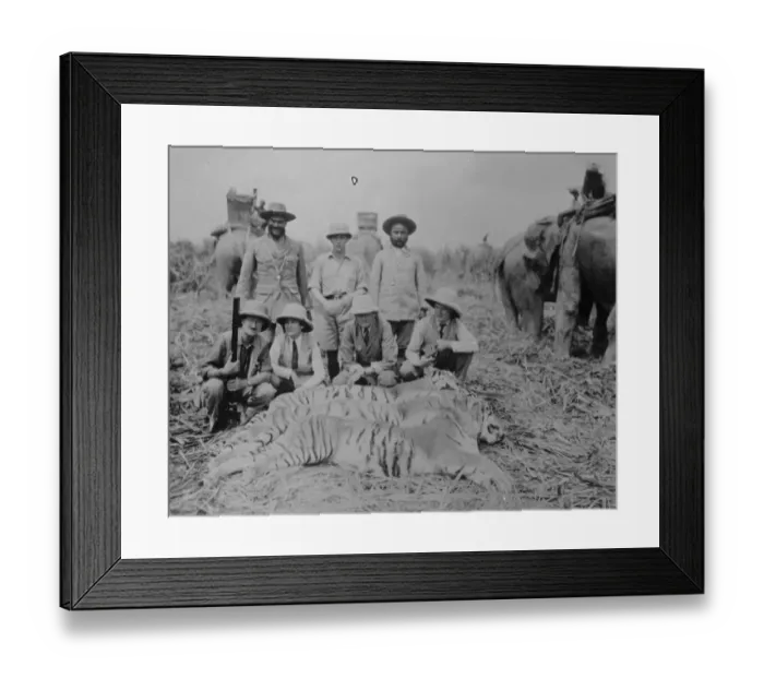 Framed Print : General Bruce on record tiger shooting expedition. General Bruce, the leader Framed Print : General Bruce on record tiger shooting expedition. General Bruce, the leader