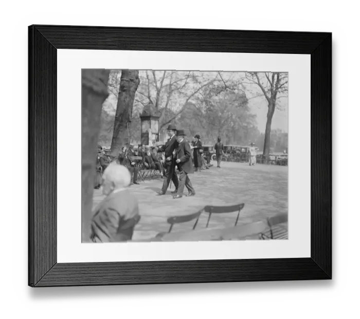 Framed Print : Londons Heat Wave Lord Mersey takes a walk under the shelter of the trees in Framed Print : Londons Heat Wave Lord Mersey takes a walk under the shelter of the trees in