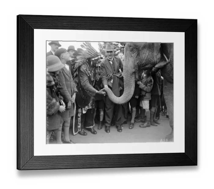 Framed Print : Big Chief White Horse Eagle at the zoo. 7 July 1928