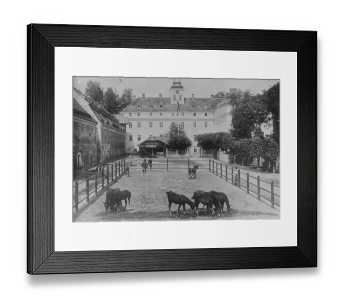 Framed Print : Crime In a Castle Kleppelsdorf Hunting Chateau at Laehn, the courtyard of the castle Framed Print : Crime In a Castle Kleppelsdorf Hunting Chateau at Laehn, the courtyard of the castle