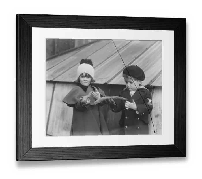 Framed Print : Live toys at Derry and Toms 24 November 1920