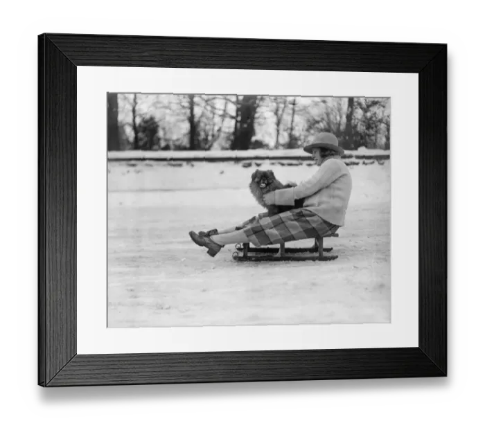 Framed Print : Englands winter sports in full swing. A lucky dog goes for a ride. 1922