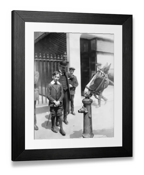 Framed Print : Hot weather scene in Fleet Street Horse drinks from hydrant 22 May 1922 Framed Print : Hot weather scene in Fleet Street Horse drinks from hydrant 22 May 1922