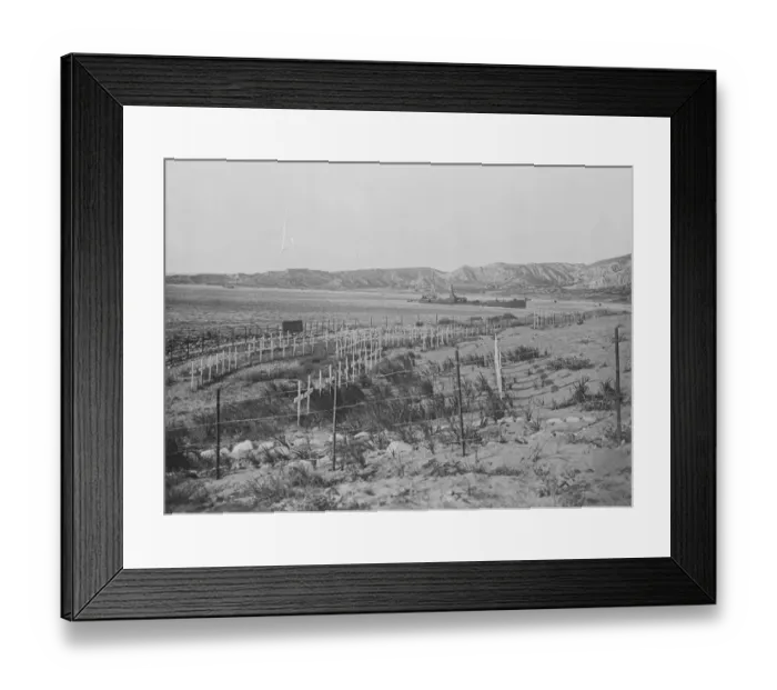 Framed Print : Dominions and the crisis in the Near East. British Cannot Forget that the Gallipoli Framed Print : Dominions and the crisis in the Near East. British Cannot Forget that the Gallipoli