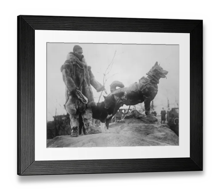 Framed Print : Monument to a dog. A monument was unveiled in Central Park, New York, to Balto Framed Print : Monument to a dog. A monument was unveiled in Central Park, New York, to Balto