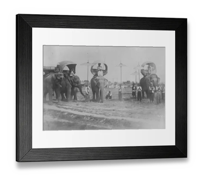 Framed Print : Shan Chiefs on their elephants at Burma 31 December 1921 Framed Print : Shan Chiefs on their elephants at Burma 31 December 1921