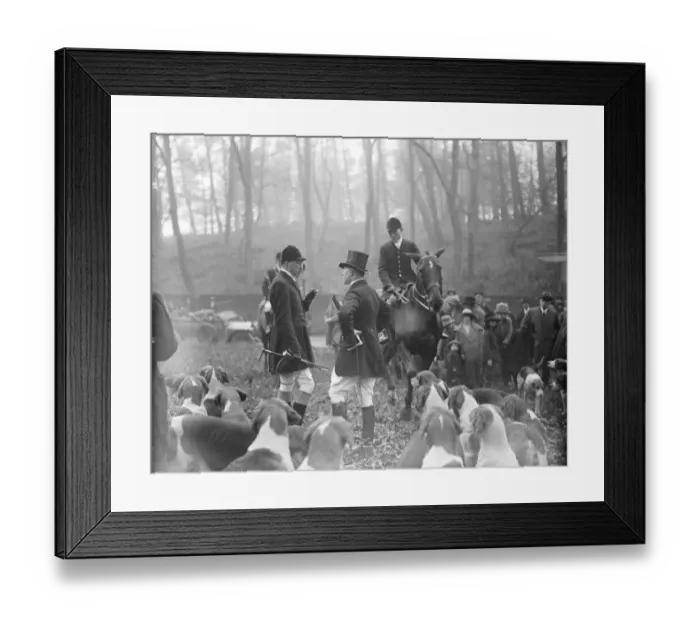 Framed Print : Viscount Lascelles out with his hounds Viscount Lascelles, the master at the meet