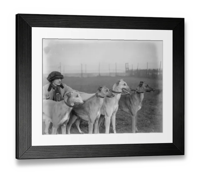 Framed Print : Waterloo Cup aspirants owned and trained by a lady. Miss Ruth Fawcett owner Framed Print : Waterloo Cup aspirants owned and trained by a lady. Miss Ruth Fawcett owner
