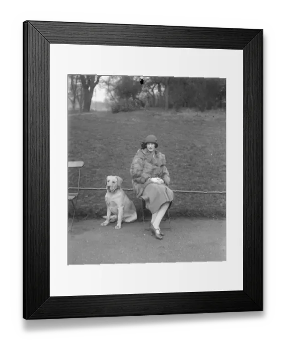 Framed Print : Lady Warrender in hunting accident Lady Warrender, wife of Sir Victor Warrender M P Framed Print : Lady Warrender in hunting accident Lady Warrender, wife of Sir Victor Warrender M P