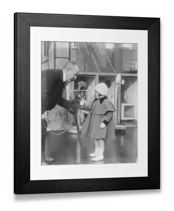Framed Print : Live toys at Derry and Toms 23 November 1920