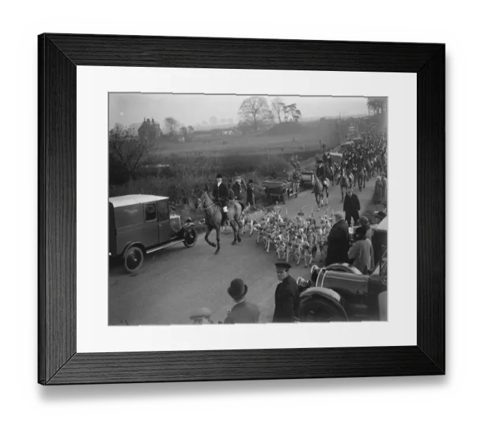 Framed Print : Opening meet of the Quorn Hunt at Kirby Gate. Hounds leading the field. 10 November Framed Print : Opening meet of the Quorn Hunt at Kirby Gate. Hounds leading the field. 10 November