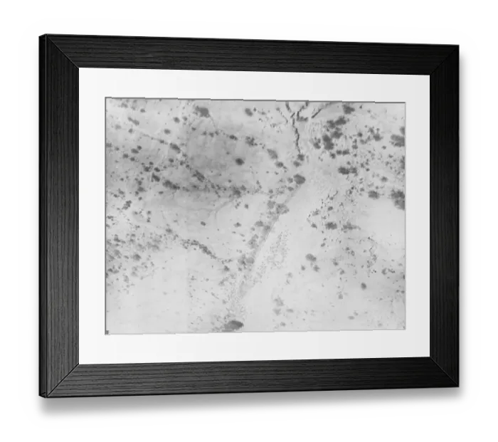 Framed Print : The British Military operations in Somaliland. An aerial view of Dervish camels in Nullah Framed Print : The British Military operations in Somaliland. An aerial view of Dervish camels in Nullah