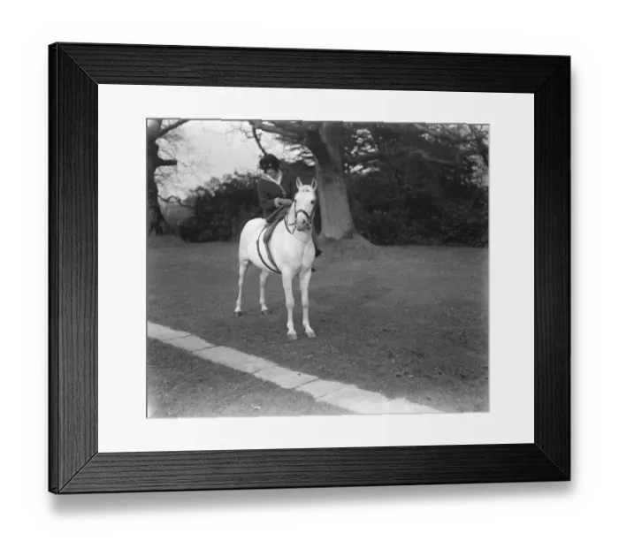 Framed Print : Lady Wentworths Arab Thouroughbreds Crabbet Park Stud, a horse breeding farm Framed Print : Lady Wentworths Arab Thouroughbreds Crabbet Park Stud, a horse breeding farm