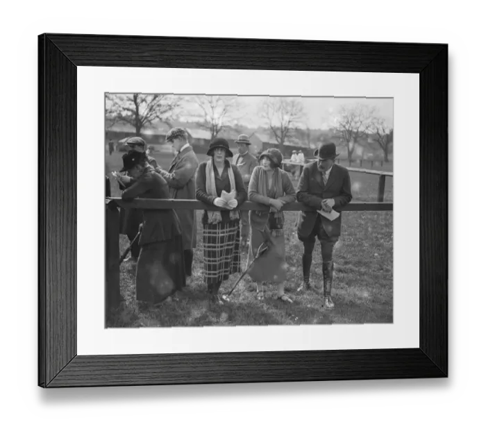 Framed Print : Show of Jersey Cattle atTunbridge Wells Lady irene Pratt, Marchioness Camden Framed Print : Show of Jersey Cattle atTunbridge Wells Lady irene Pratt, Marchioness Camden