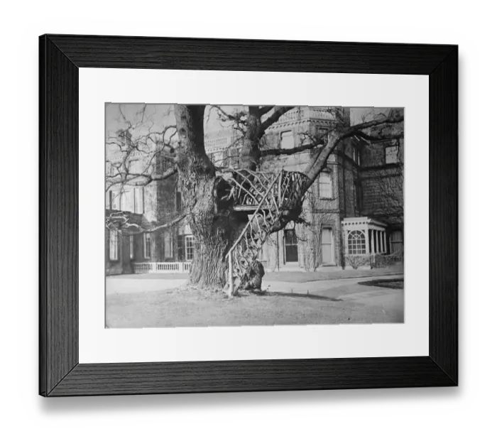 Framed Print : Sir Philip Sassoons Camlet Moat romance. Sir Philip Sassoon, of Trent Park Framed Print : Sir Philip Sassoons Camlet Moat romance. Sir Philip Sassoon, of Trent Park
