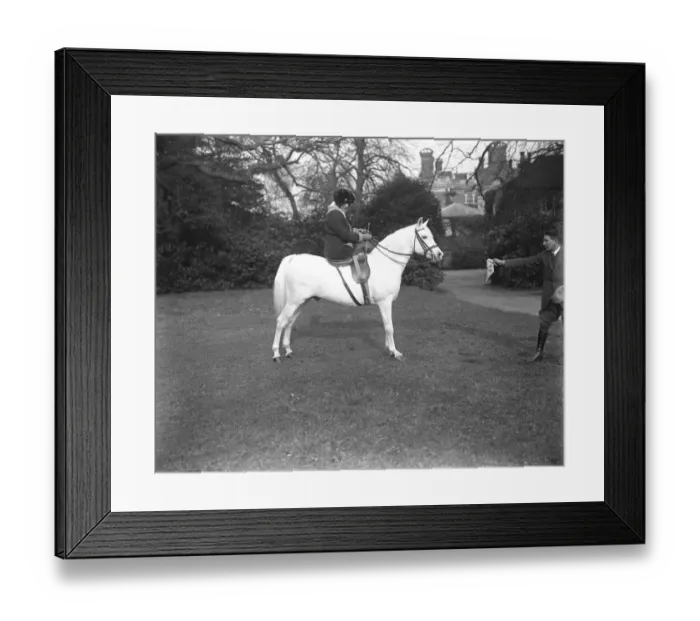 Framed Print : Lady Wentworths Arab Thouroughbreds Crabbet Park Stud, a horse breeding farm Framed Print : Lady Wentworths Arab Thouroughbreds Crabbet Park Stud, a horse breeding farm