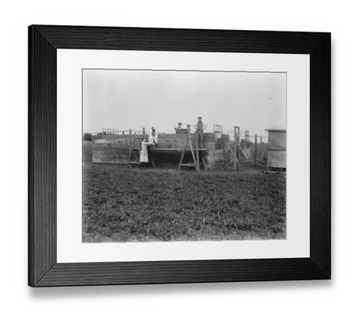 Framed Print : Concrete Houses at Harlow, Essex Bungalows at Harlow in course of construction 16 Framed Print : Concrete Houses at Harlow, Essex Bungalows at Harlow in course of construction 16