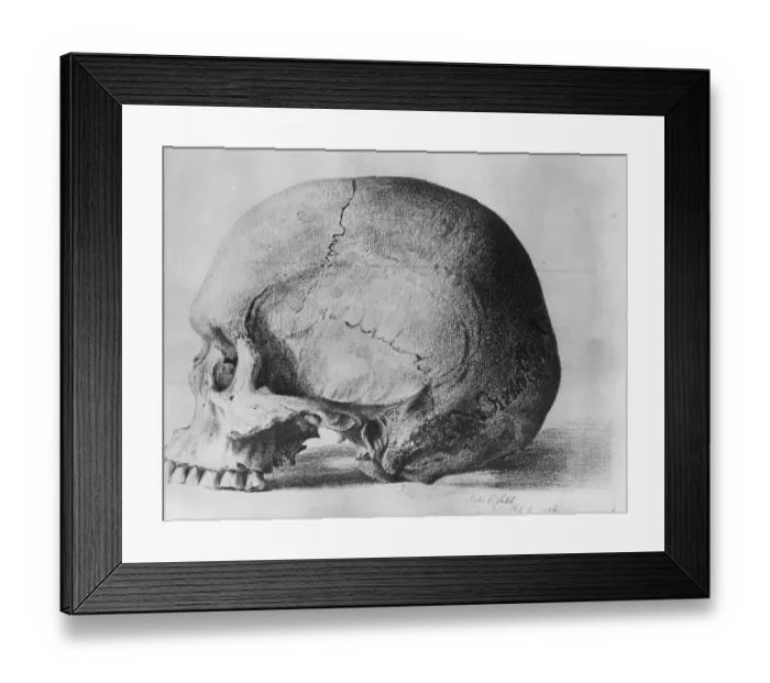 Framed Print : The oldest known skull in the direct line of human ascent. The skull of the prehistoric Framed Print : The oldest known skull in the direct line of human ascent. The skull of the prehistoric