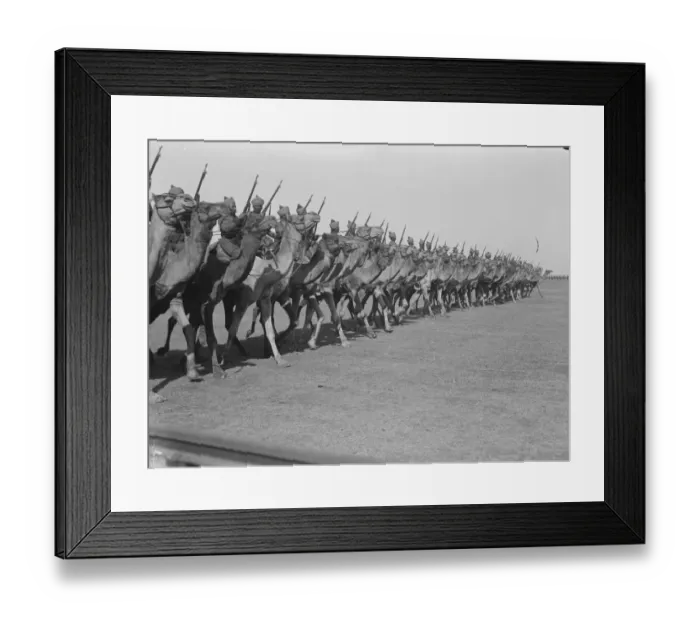 Framed Print : The Bikaner Camel Corps India 1921